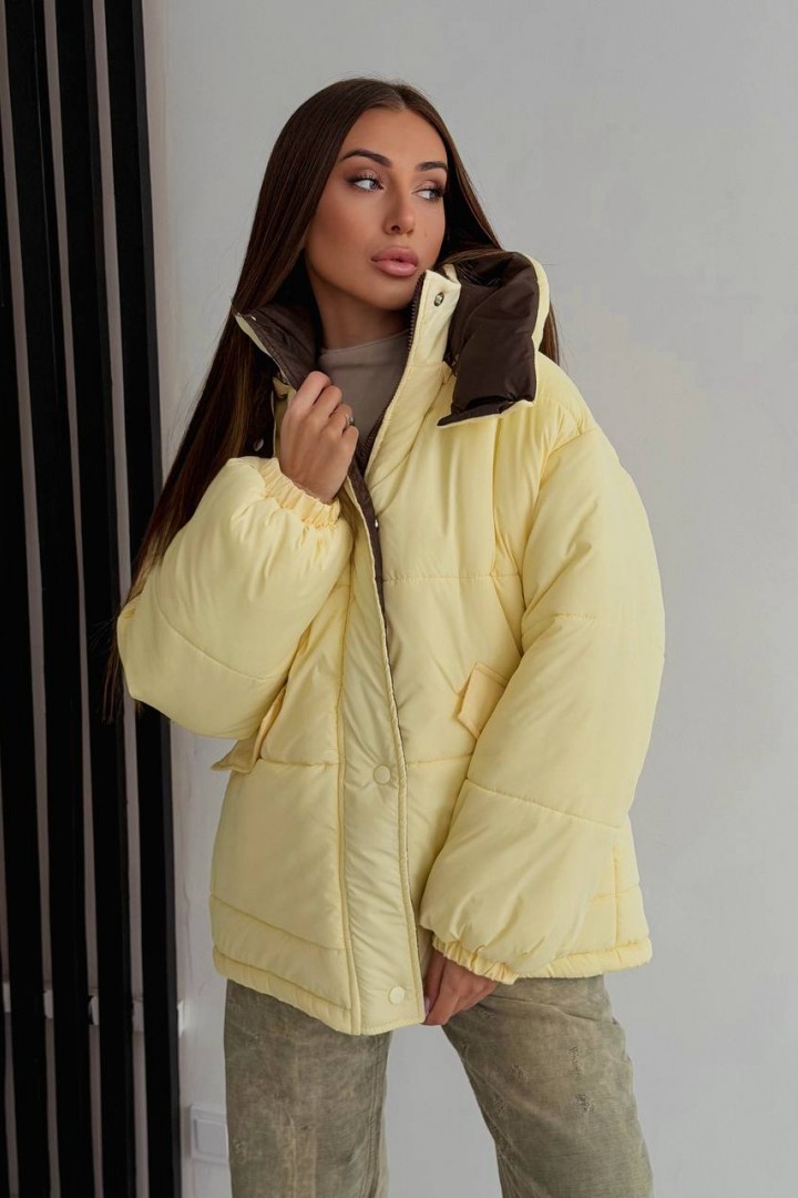 Зимняя куртка DN-278A1200