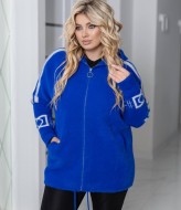 Кофта з капюшоном MAX-981A1450