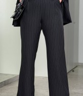 Жіночи брюки в полоску DV-AR5520A540