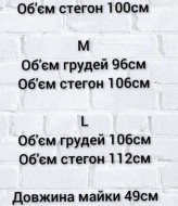 Лляной костюм двійка SABI-110A500