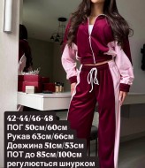 Стильний велюровий костюм RVA-449A850