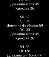 Мужской костюм футболка и шорты LSA-693A480