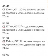 Рубашка свободного кроя KG-111.1A500