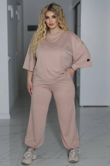 Трикотажный костюм двойка TS-490A750