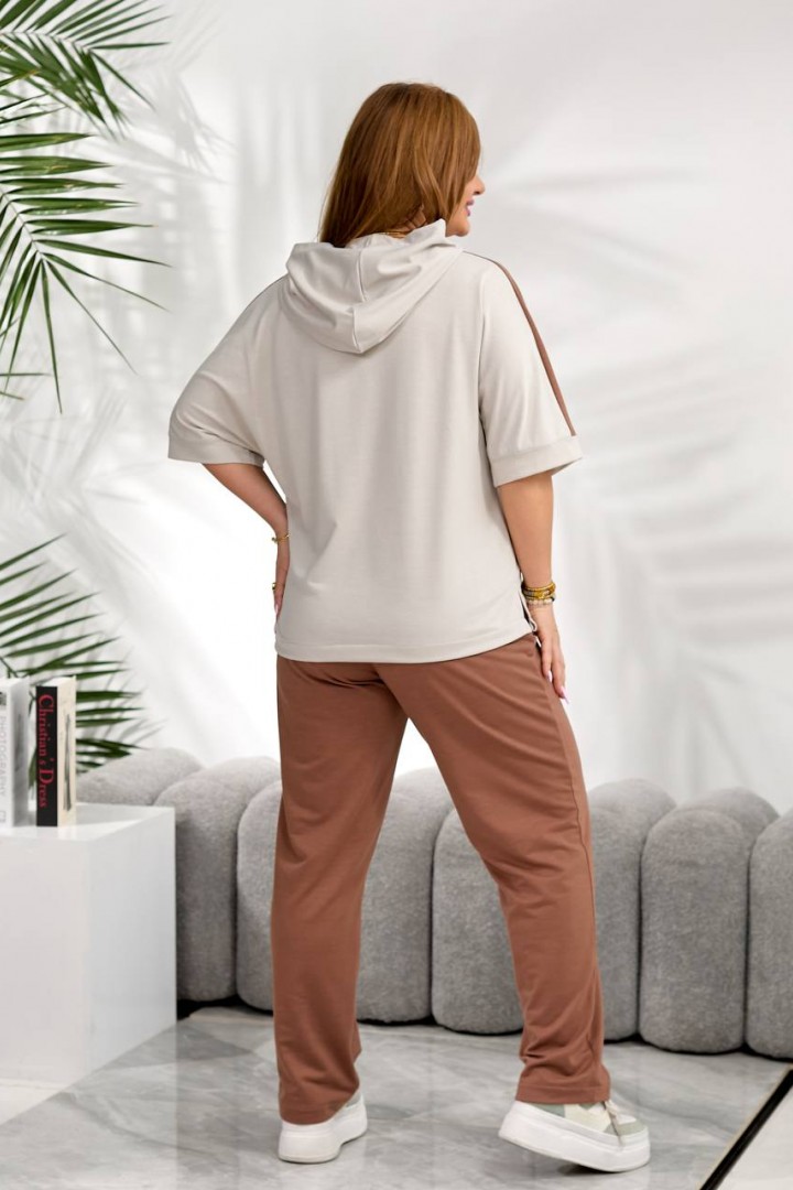 Прогулочный костюм двойка TS-491A750