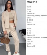 Замшевий костюм JAC-843A700