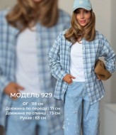 Сорочка в клітку BLO-929A500