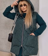 Спортивный костюм тройка с жилеткой женский LZ-A1146A1250