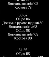 Костюм спортивный мужской флисовый  LSA-745A700