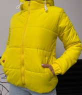 Куртка молодежная демисезонная женская   VMS-0140A575