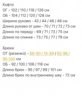 Замшевый костюм YYA-1101A470B540