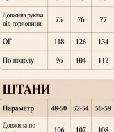 Велюровый костюм со стразами VOJ-351A850