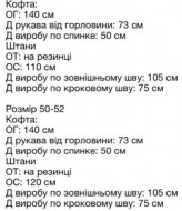 Велюровый костюм AVB-0271A650