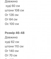 Велюровый костюм тройка EVD-402A599