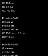 Прогулочный костюм двойка EVD-404A550