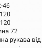 Льняна сорочка в смужку RAB-672A459