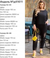 Стильный костюм DG-d41611A450B500