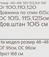 Спортивный костюм MYD-627A550