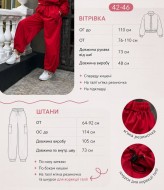 Костюм 2-ка вітрівка + штани RAB-747A1059