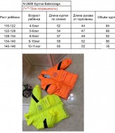 Куртка унісекс EV-2688A700