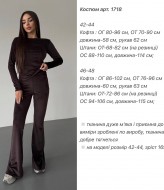 Велюровый костюм ANA-1718A14