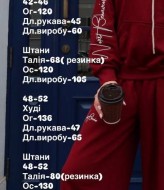 Спортивний костюм з вишивкою JOM-8005.1A1490