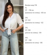 Женская рубашка ZL-119A420