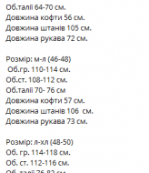 Велюровый костюм VM-10535A600