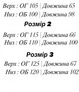 Спортивний костюм EFR-169A450