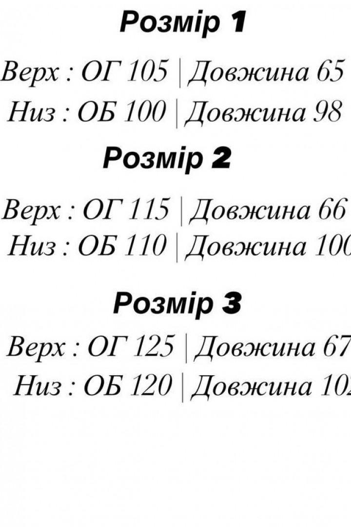 Спортивний костюм EFR-169A450