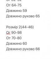 Лонгслив из гипюра BOT-307A309