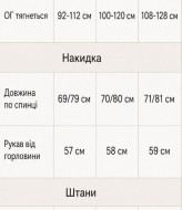 Костюм тройка майка, шифоновая накидка и брюки VOJ-1095A950