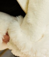 Полупальто с мехом женское MAX-946A1250