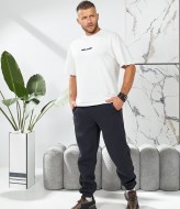 Спортивные штаны мужские с манжетами  ELT-1119A600