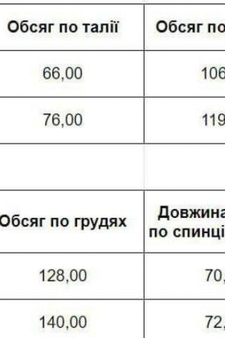 Спортивний флісовий костюм LOU-977A690 Спортивний флісовий костюм LOU-977A690