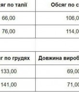 Спортивный костюм женский трехнитка  LOU-1563A850