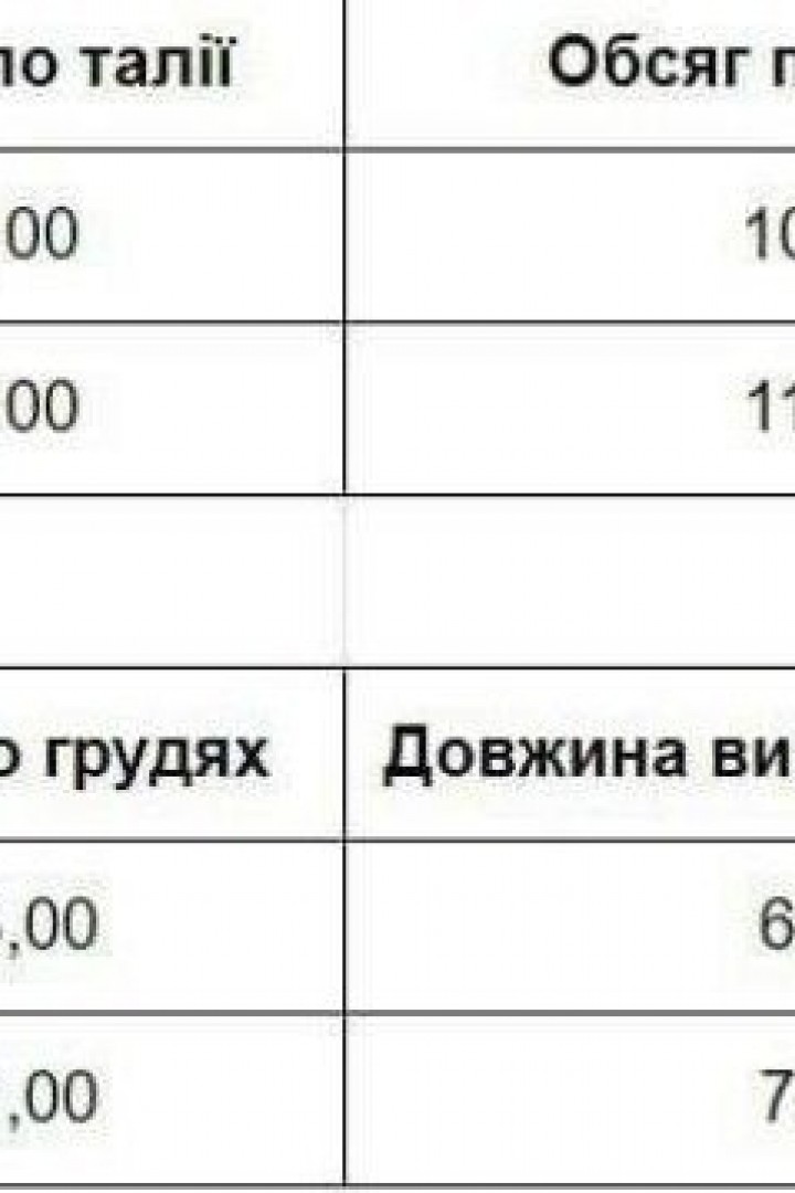 Спортивный костюм женский трехнитка  LOU-1563A850