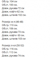 Спортивный костюм женский флисовый VM-10531A550