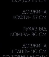 Стильний спортивний костюм UNO-027A650