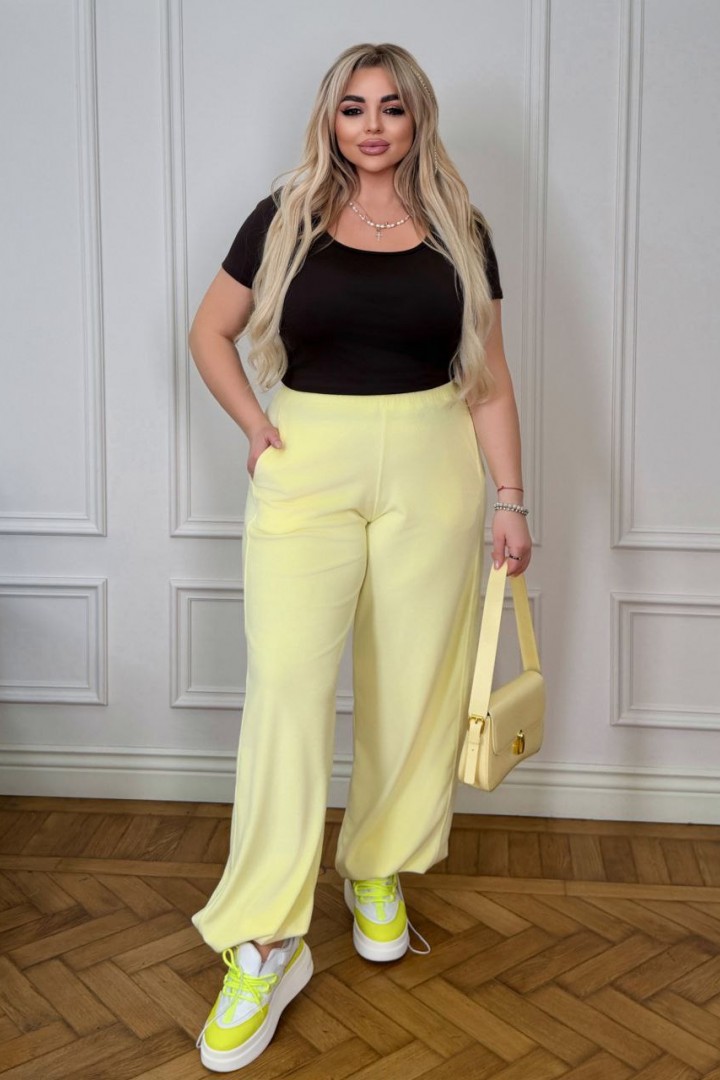 Велюрові штани ELR-40822A550