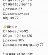 Велюровый спортивный костюм RAB-718A739