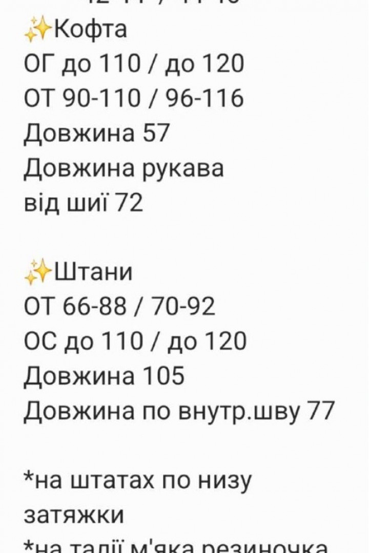 Велюровый спортивный костюм RAB-718A739