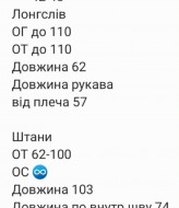 Костюм двійка вільні штани і лонг RAB-722A709