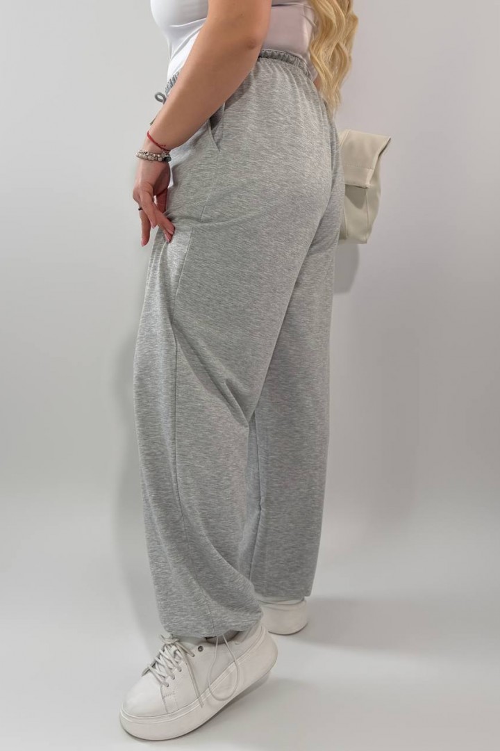 Спортивные штаны INS-495A450