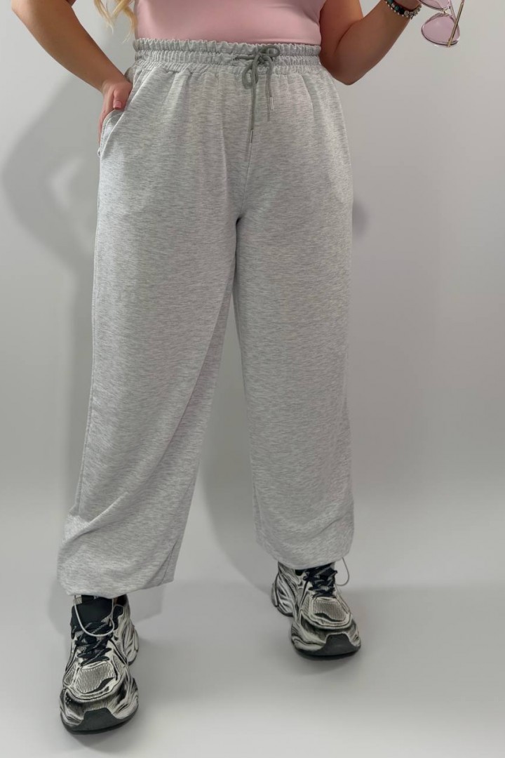 Спортивные штаны INS-495A450