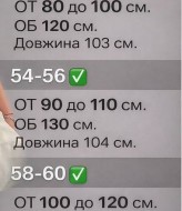 Спортивные штаны INS-495A450