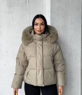 Жіноча куртка ZL-006A1750 Жіноча куртка ZL-006A1750