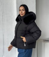 Жіноча куртка ZL-006A1750 Жіноча куртка ZL-006A1750