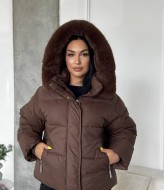 Жіноча куртка ZL-006A1750 Жіноча куртка ZL-006A1750