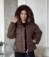 Жіноча куртка ZL-006A1750 Жіноча куртка ZL-006A1750